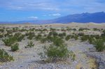 Death Valley N.P.