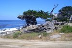 17 Mile Drive