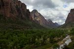 Zion NP